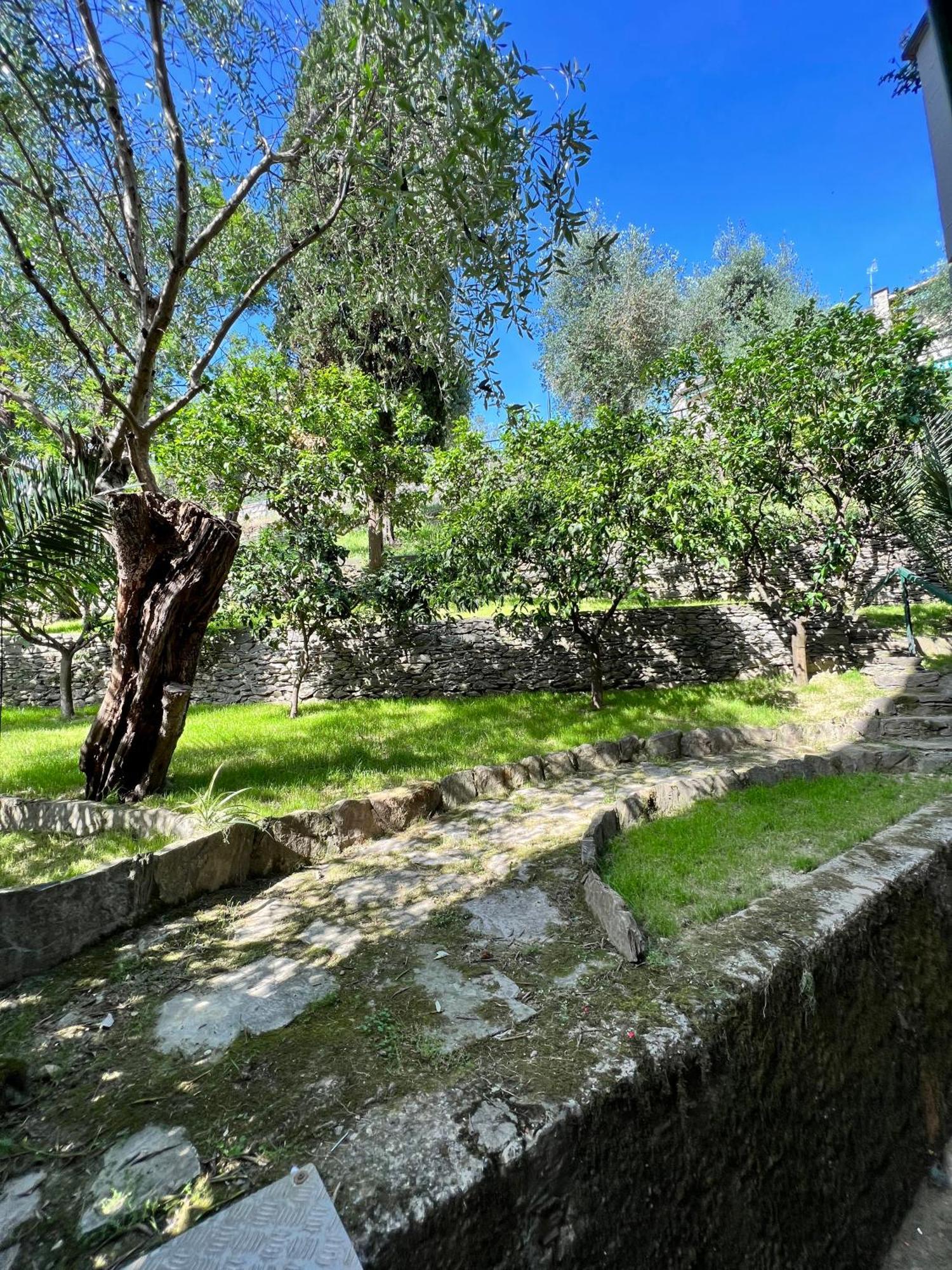 Blue Garden Apartment Rapallo Bagian luar foto